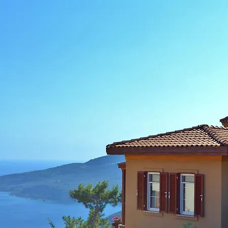 Acacia * Kalkan
